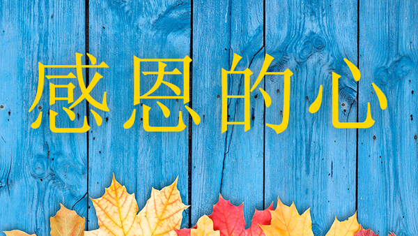 2016 11 22 mand tth 768x432